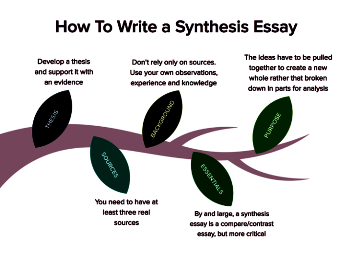 How To Write A Synthesis Essay Like A Professional